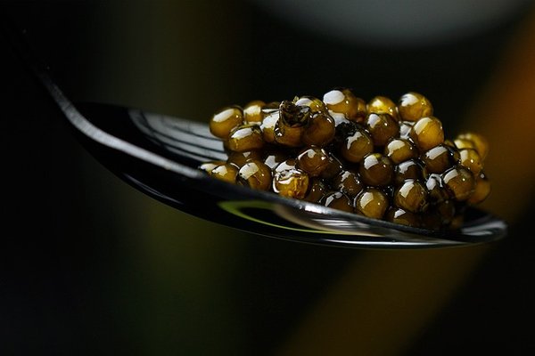 Caviar d'aquitaine : savourez un héritage durable et authentique